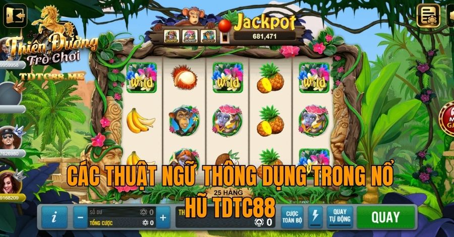 Các thuật ngữ thông dụng trong nổ hũ TDTC88
