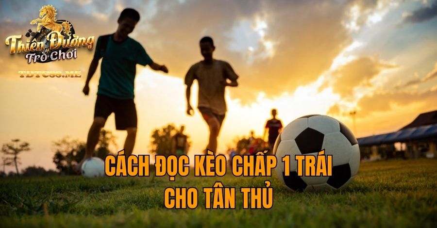 Cách đọc kèo chấp 1 trái cho tân thủ