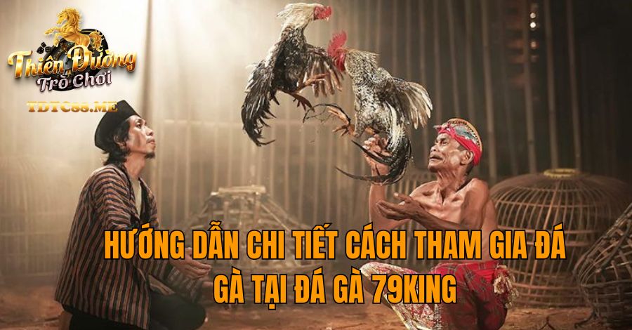 Hướng dẫn chi tiết cách tham gia đá gà tại đá gà 79KING